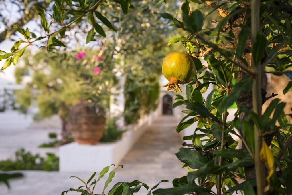 Masseria Il Melograno Monopoli Exterior photo